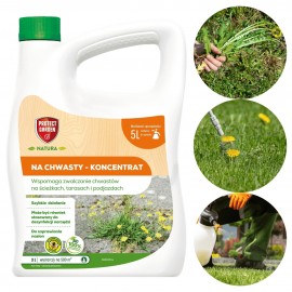 PG NATURA CHWASTY 3L