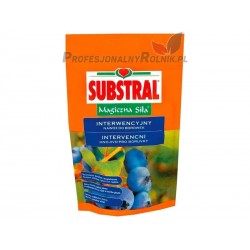 SUBSTRAL MAGICZNA SIŁA DO BORÓWEK 350G 