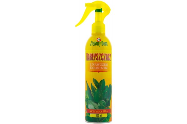 NABŁYSZCZACZ PLUS NAWÓZ ZIELONY DOM SPRAY 300ML