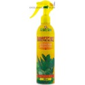 NABŁYSZCZACZ PLUS NAWÓZ ZIELONY DOM SPRAY 300ML