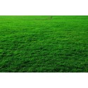 OBRZEŻE FALISTE BRĄZOWE 15 CM RAMP ROFB15