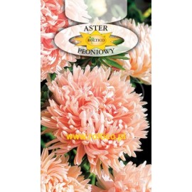 KWIAT ASTER PEONIOWY MIX 1G ROLTICO