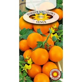 POMIDOR VENUS 0,3G ROLTICO koktajlowy,pomarańczowy