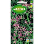KW.MACIEJKA 5G POLAN