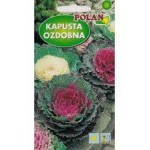 KW.KAPUSTA OZD.MIX 0,5G POLAN