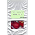 BURAK ĆW.D`EGYPTE 100G POLAN śr.wczesny,płaski