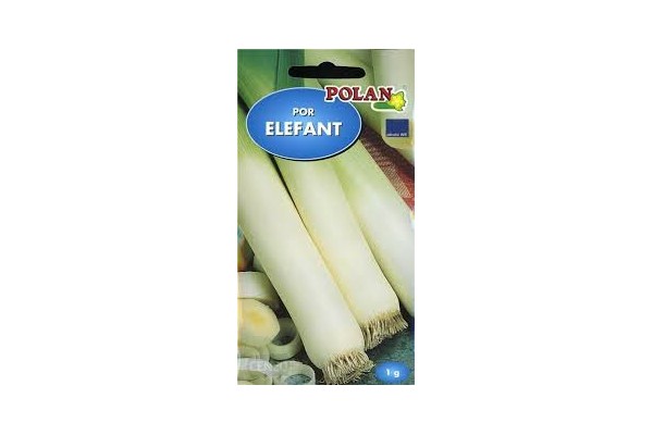 POR ELEFANT 1G POLAN śr.późny,jesienny