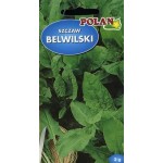 SZCZAW BELWILSKI 2+1G POLAN