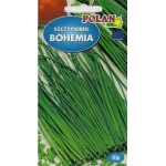 SZCZYPIOREK BOHEMIA 2G POLAN