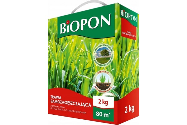 BOPON TRAWA SAMOZAGĘSZCZAJĄCA 2KG