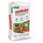 AZOFOSKA GRAN.25KG WOREK