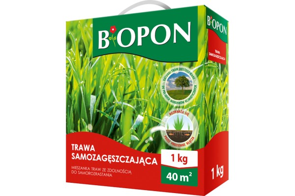 BOPON TRAWA SAMOZAGĘSZCZAJĄCA 1KG