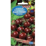 POMIDOR BLACK CHERRY 0,1G POLAN wysoki,purp-brąz