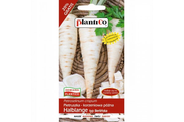 PIETRUSZKA HALBLANGE BERLIŃSKA 6G PLANTICO późna