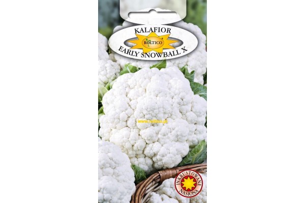 KALAFIOR SNOWBALL X 1G ROLTICO