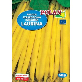 FASOLA LAURINA 50 g ŻÓŁTA KARŁOWA 'POLAN