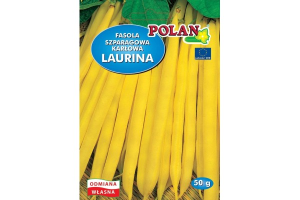 FASOLA LAURINA 50 g ŻÓŁTA KARŁOWA 'POLAN