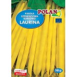 FASOLA LAURINA 50 g ŻÓŁTA KARŁOWA 'POLAN